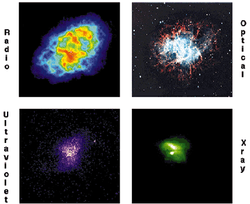 The Crab Nebula at multiwavelengths