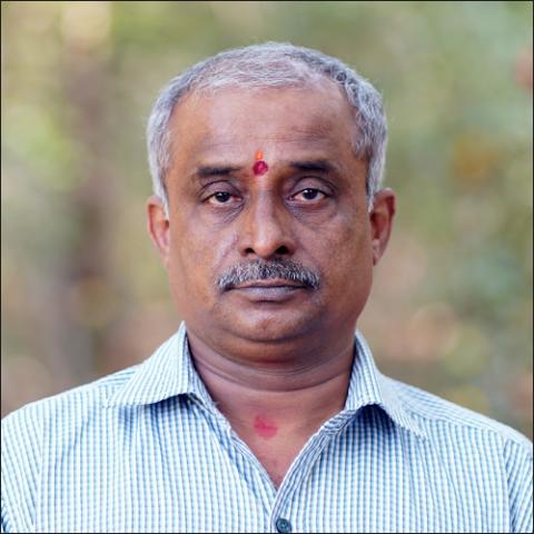 महादेव टी
