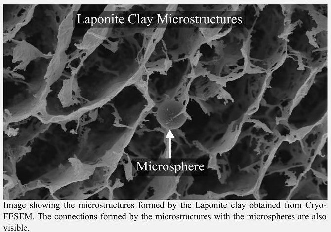 Microstructures formed by Laponite clays