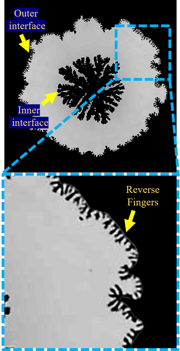 Novel Instability